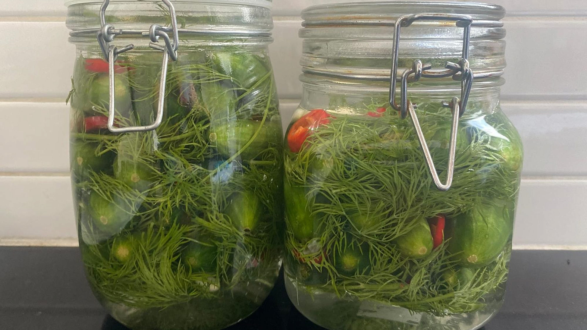 חמוצל'ה, מלפפונים חמוצים ביתיים | צילום: שרין לוי מינץ (בהשראת המתכון של אביה, שי לוי) חמוצל'ה, מלפפונים חמוצים ביתיים | צילום: שרין לוי מינץ (בהשראת המתכון של אביה, שי לוי)