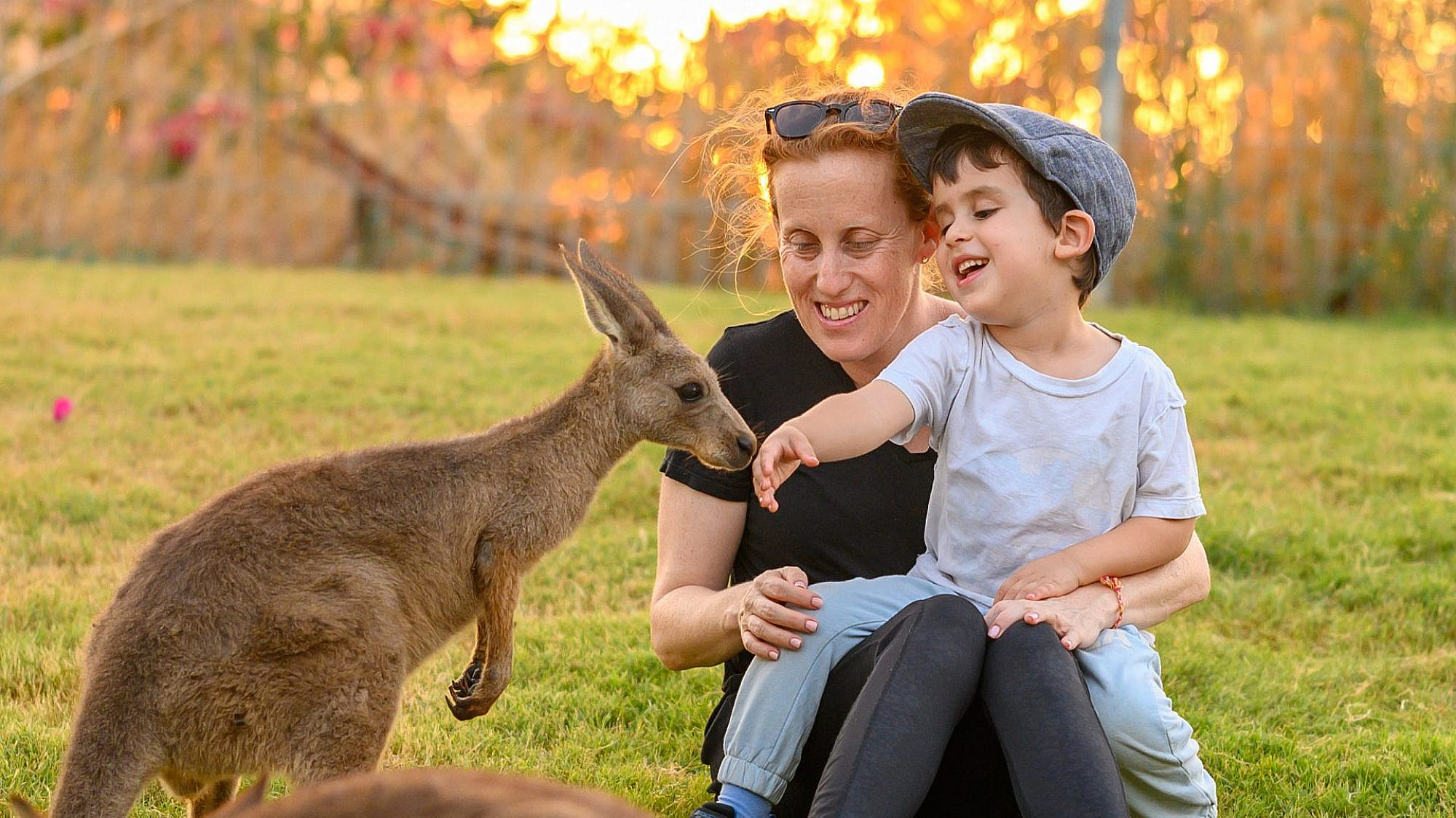 גן גורו | צילום מיכל אבנד