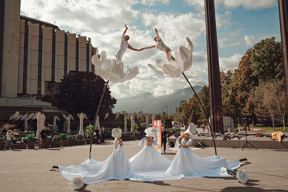 קרקס ביער | צילום יח&quot;צ