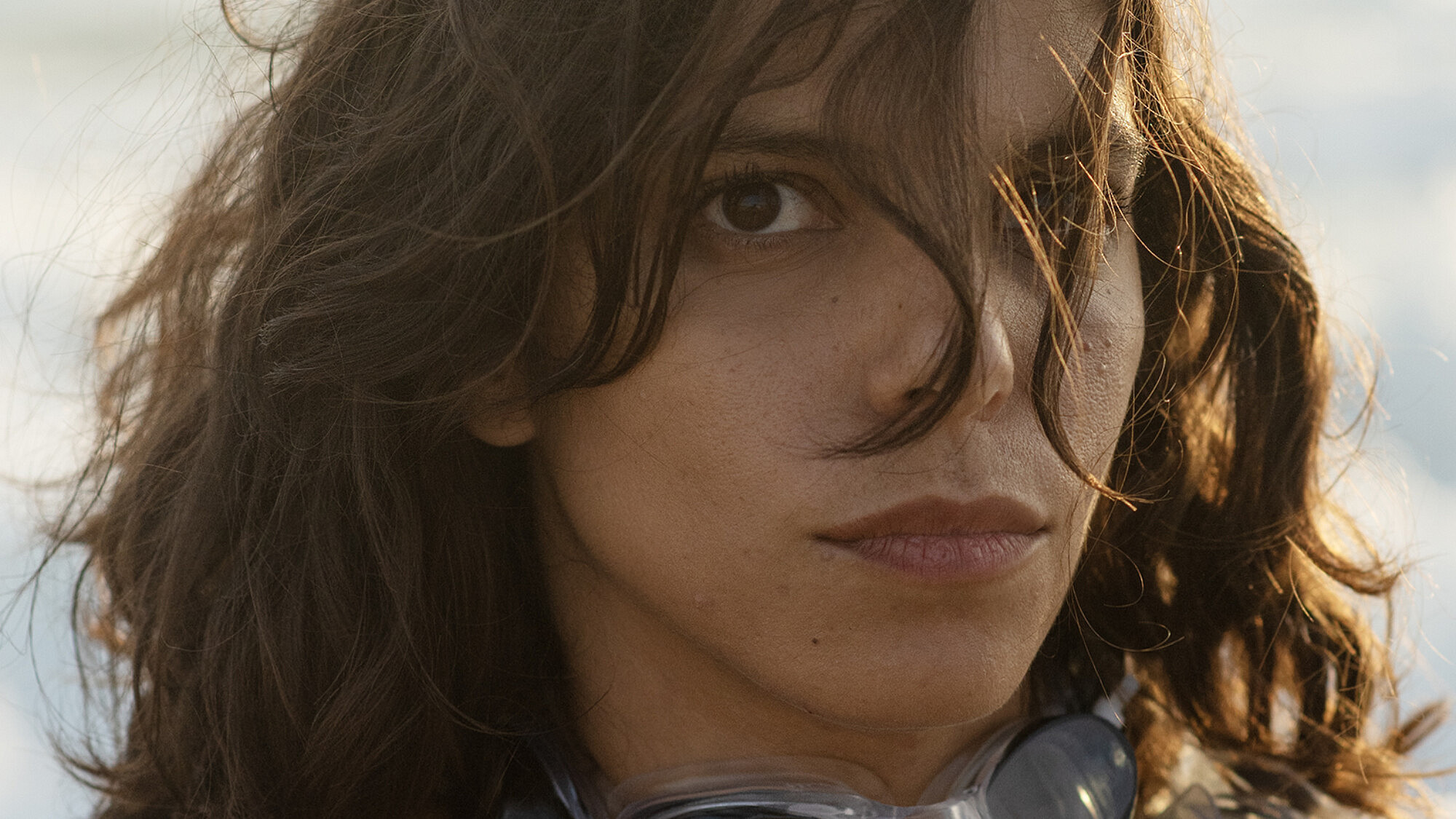 החלום ושברו. שקד מוכיח | צילום: גיא נחום לוי החלום ושברו. שקד מוכיח | צילום: גיא נחום לוי