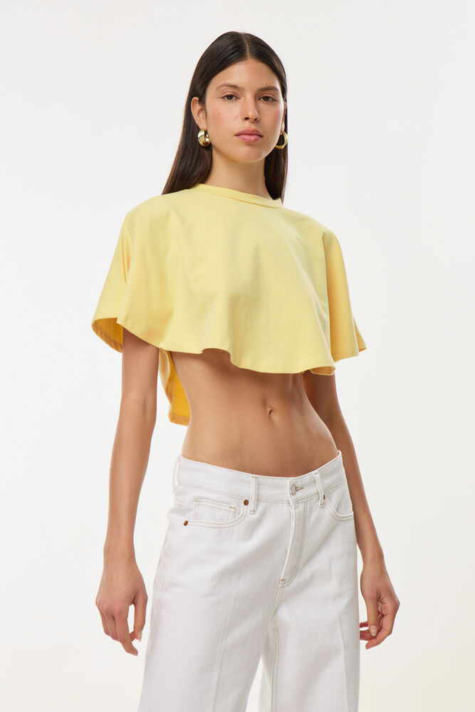 רנואר. 79 ש&quot;ח | צילום: עדי שנפיק