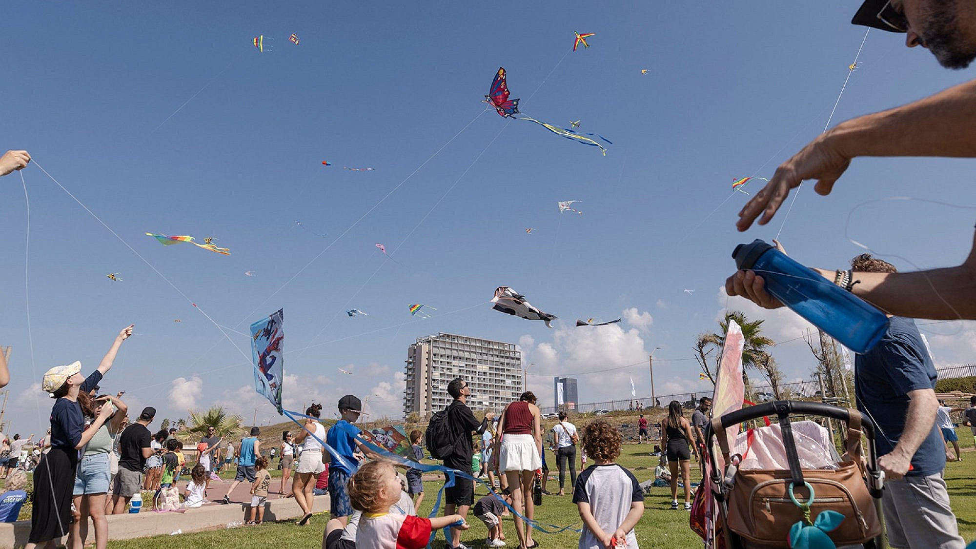 עפיפוניאדה | צילום: דוד סקורי