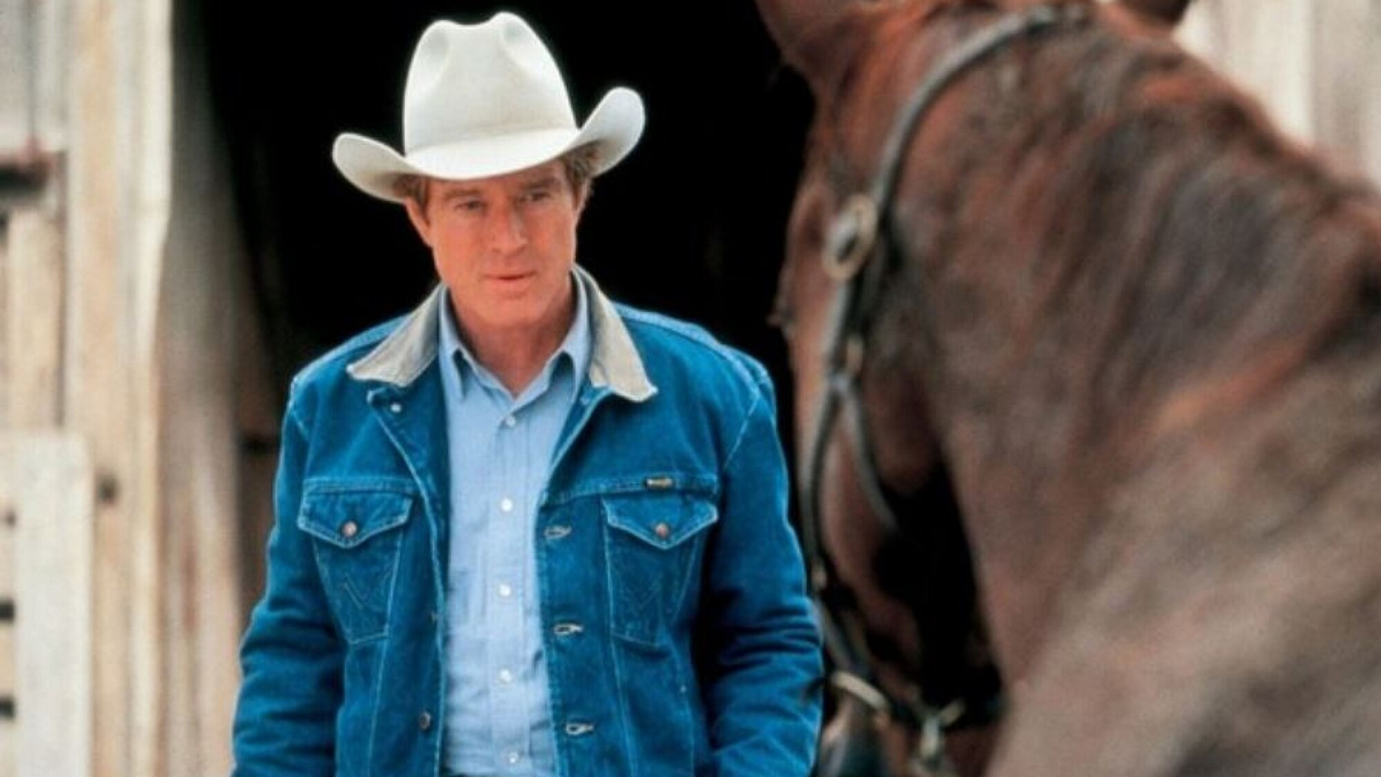 רוברט רדפורד מתוך "הלוחש לסוסים" | צילום מסך