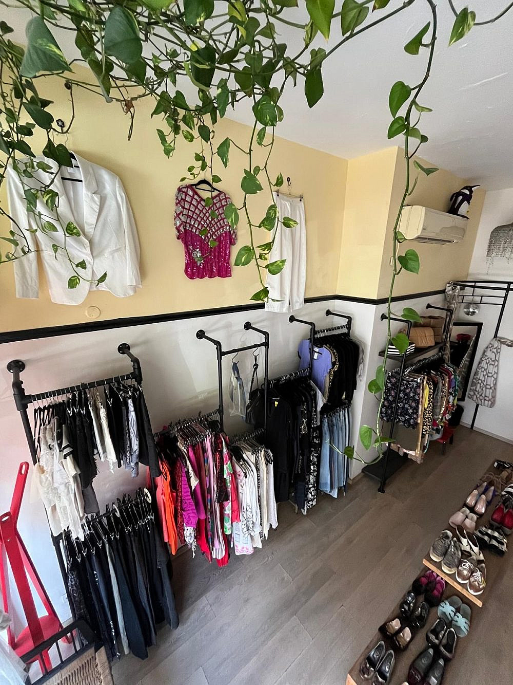 ארגמן | צילום: יח&quot;צ