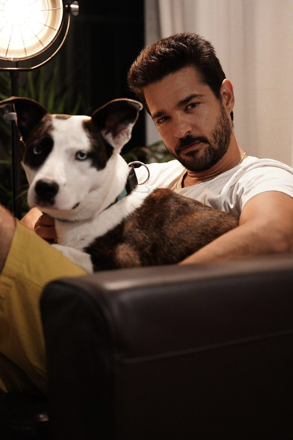 תום גרציאני | צילום: יונתן אבינועם