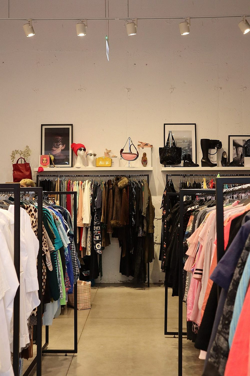 צ'לסי | צילום: יח&quot;צ