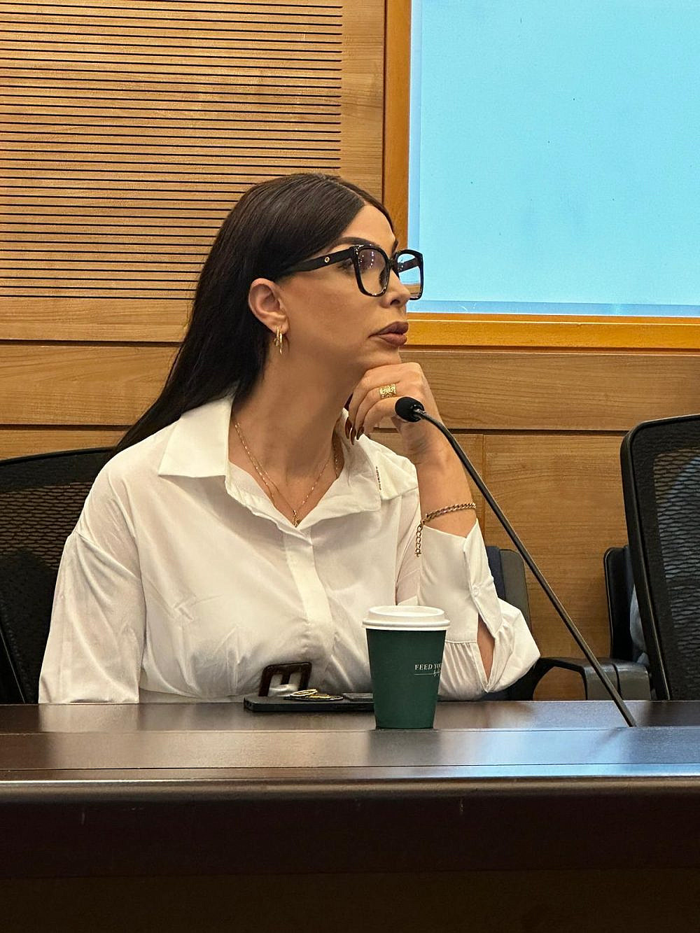 היעד הבא: פוליטיקה. לינור אברג'ל | צילום: באדיבות המצולמת