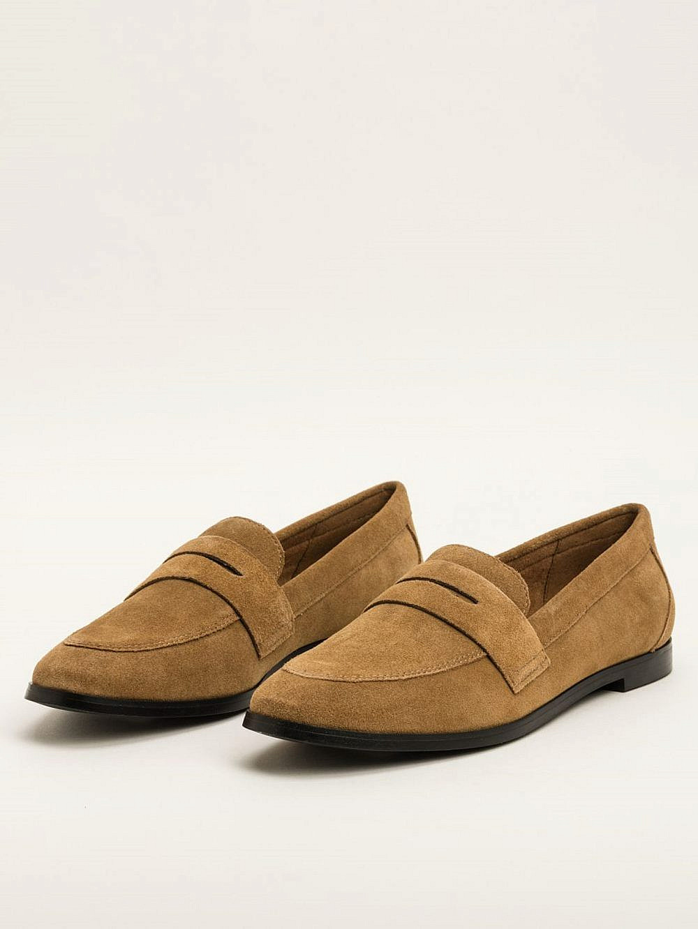 קסטרו. 249 ש"ח | צילום: אסיה רביבו