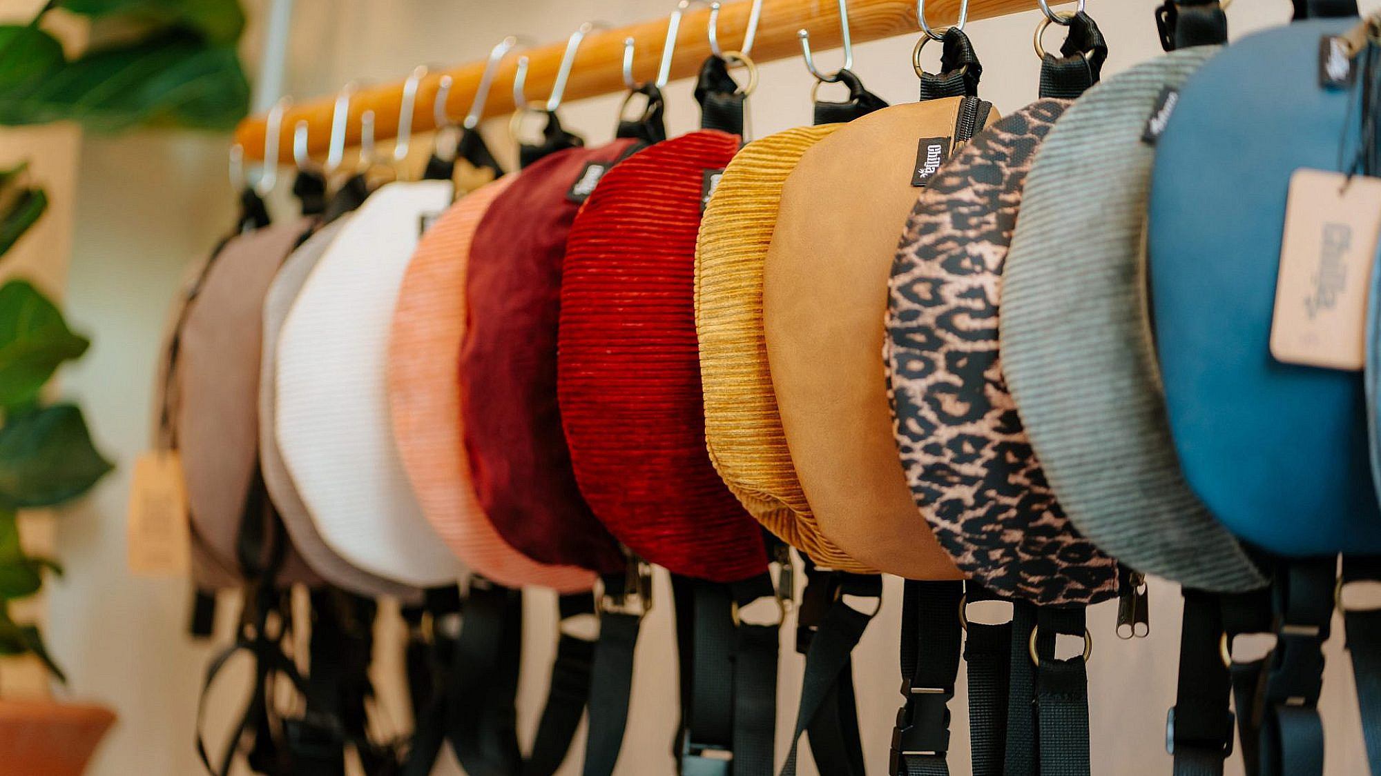 Chilla | צילום: לירון לוי