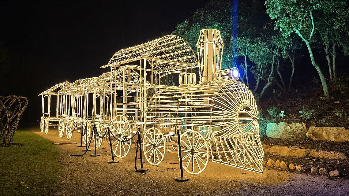 אורות בגן הבוטני, WINTER DREAMS II | צילום תום עמית