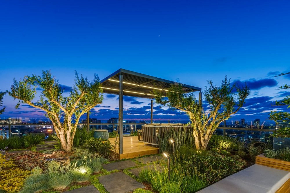 כרכום עיצוב נוף. צילום: עודד סמדר