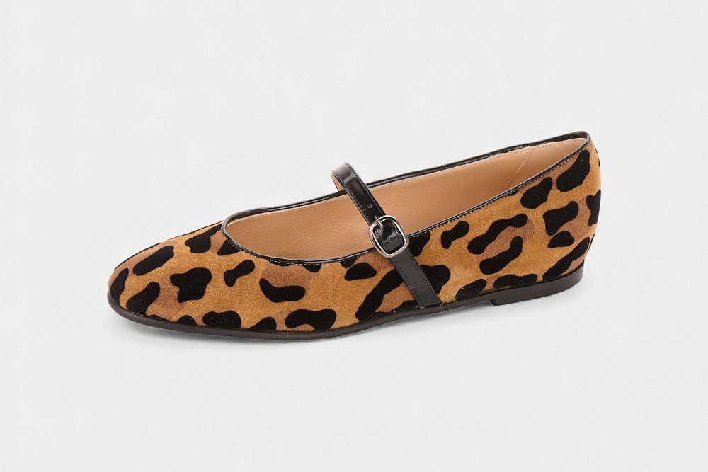 לאפייט איטלי | צילום: יח"צ