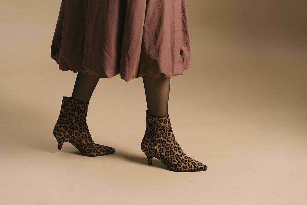 לאפייט איטלי | צילום: יח"צ