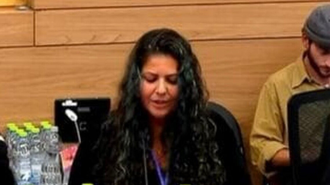 מדינה בתוך מדינה שעושה בה כרצונה. מתוך עדותה של הדר פלדמן בכנסת | צילום: צילום מסך, ערוץ הכנסת