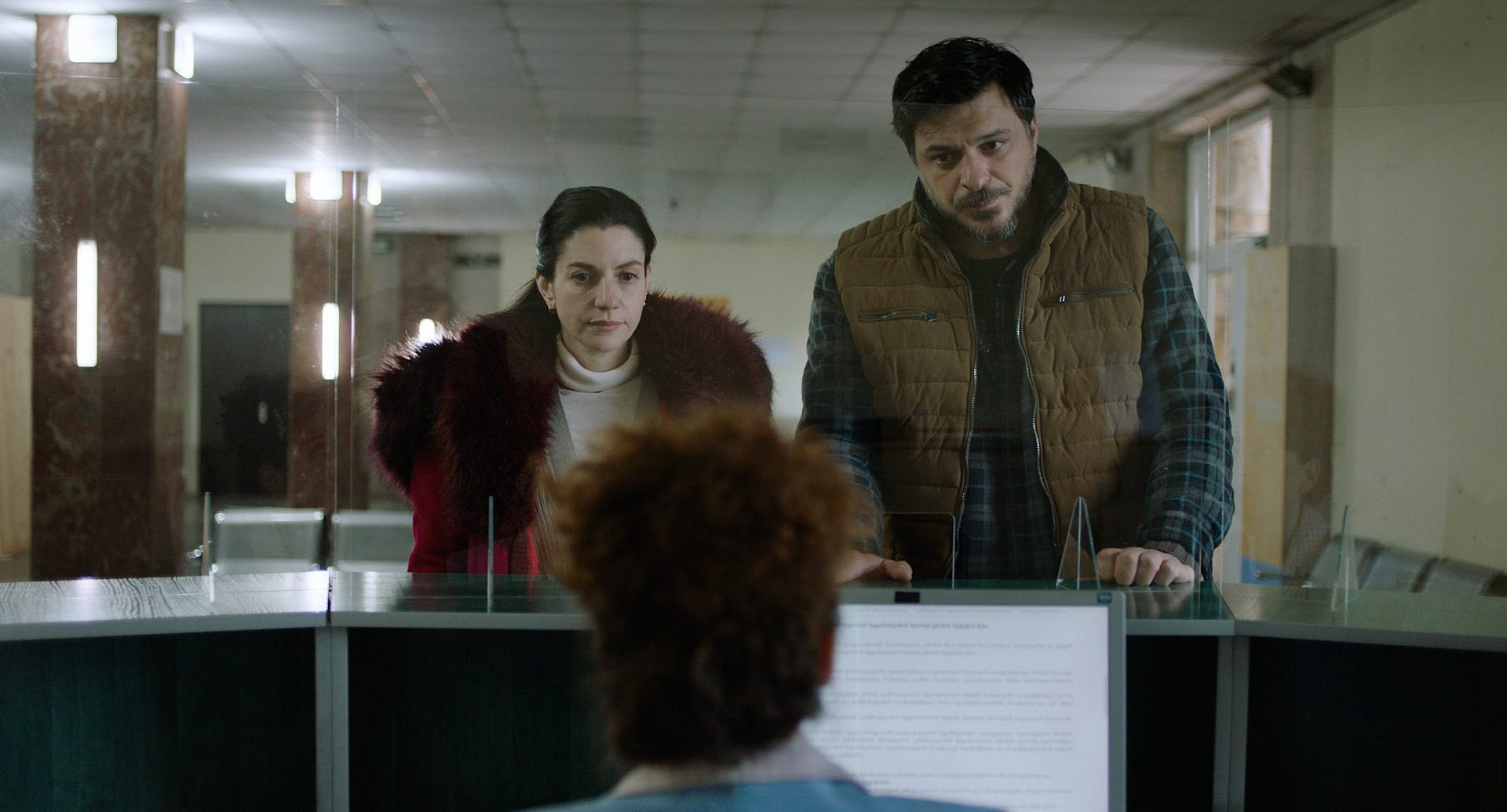 "נאנדאורי" | צילום: שי גולדמן