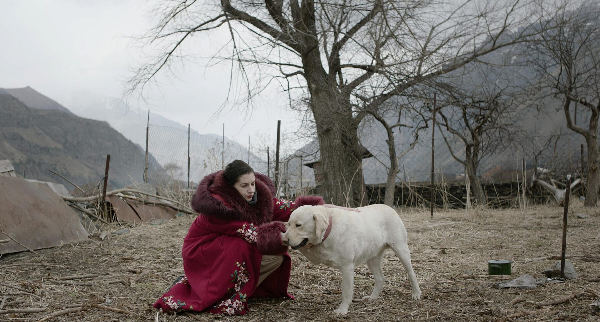 "נאנדאורי" | צילום: שי גולדמן