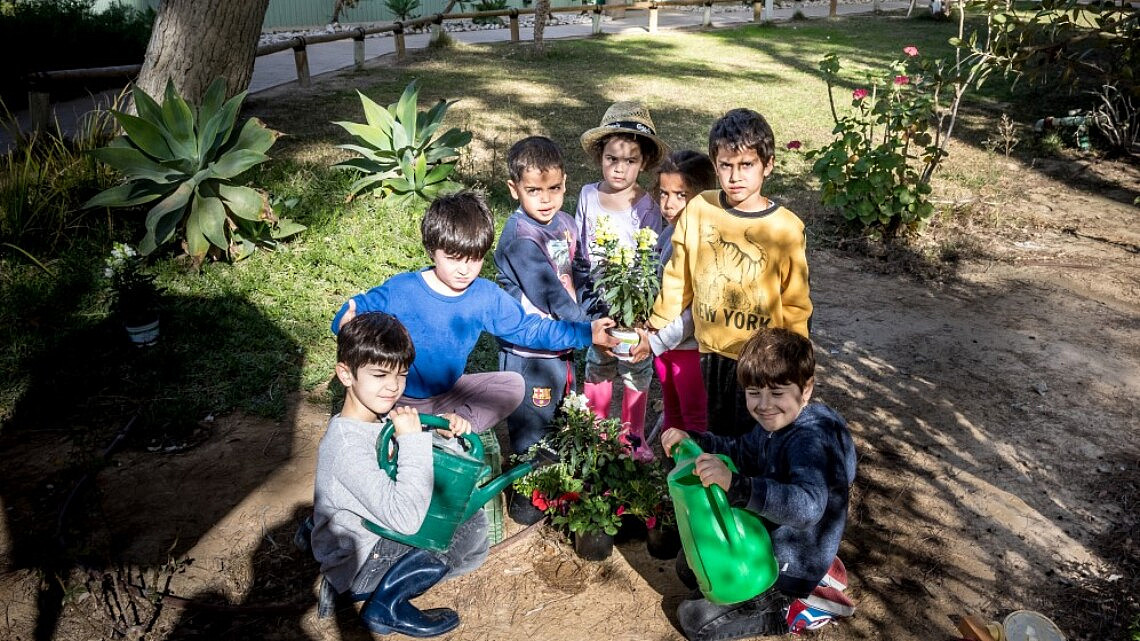ט"ו בשבט בצריף בן גוריון | צילום: צביקה שמעיה ט"ו בשבט בצריף בן גוריון | צילום: צביקה שמעיה