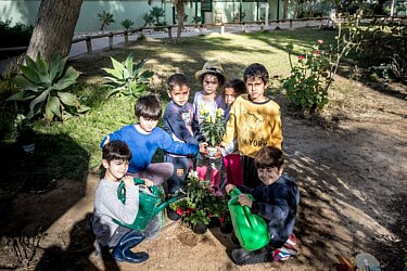 ט"ו בשבט בצריף בן גוריון | צילום: צביקה שמעיה