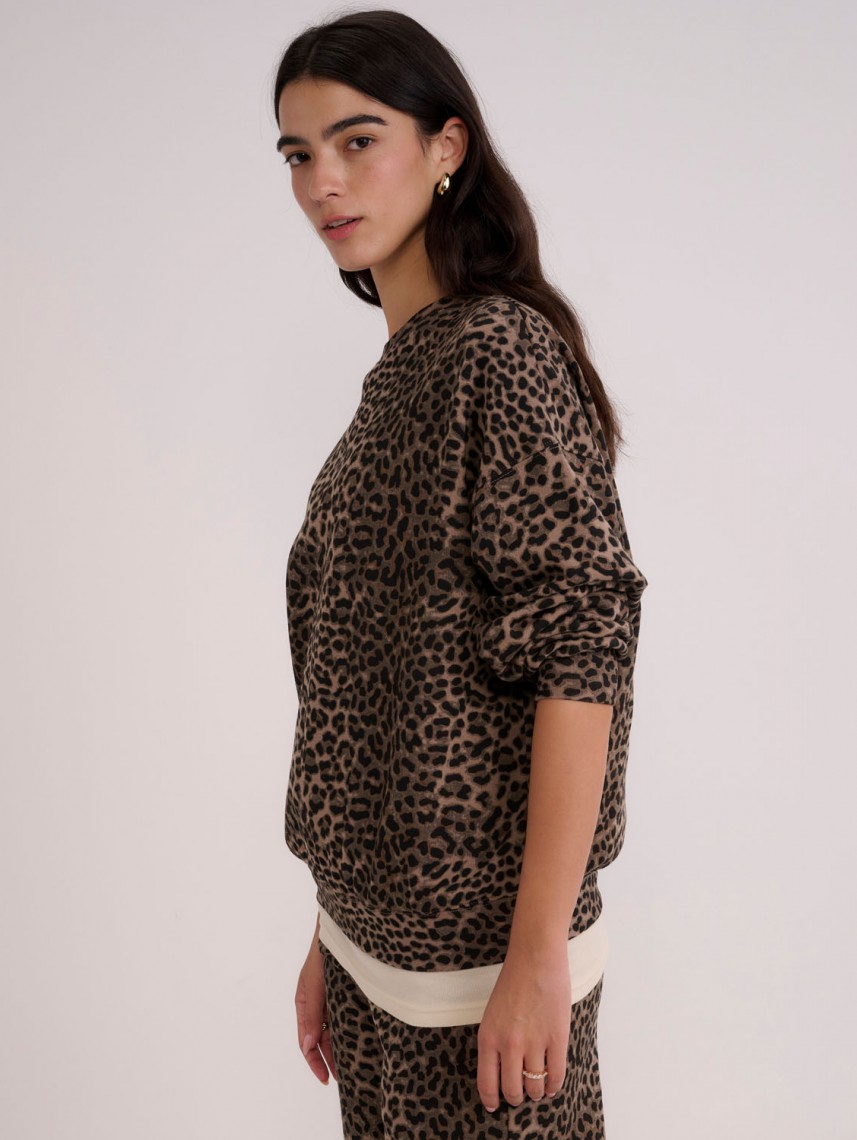 הודיס. סוויטשיט 74 ש"ח | צילום: יח"צ