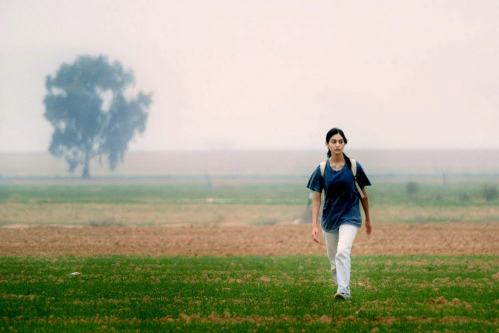 "על כלבים ואנשים" | צילום: זיו ברקוביץ'