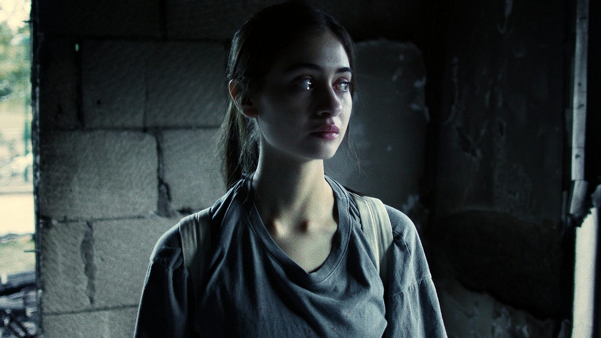 "על כלבים ואנשים" | צילום: יח"צ "על כלבים ואנשים" | צילום: יח"צ