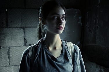 "על כלבים ואנשים" | צילום: יח"צ