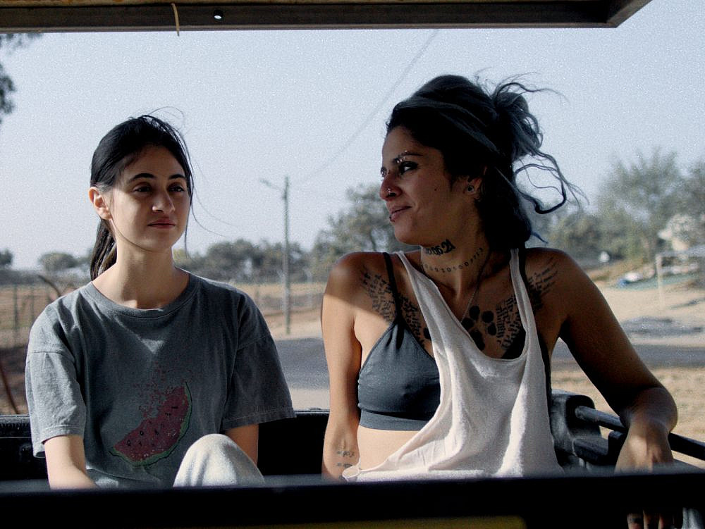 נורה ליפשיץ ואור אבינועם, "על כלבים ואנשים" | צילום: יחסי ציבור