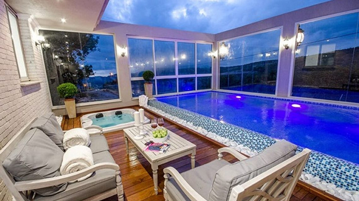 נסיה. צילום: חזי זוארץ נסיה. צילום: חזי זוארץ