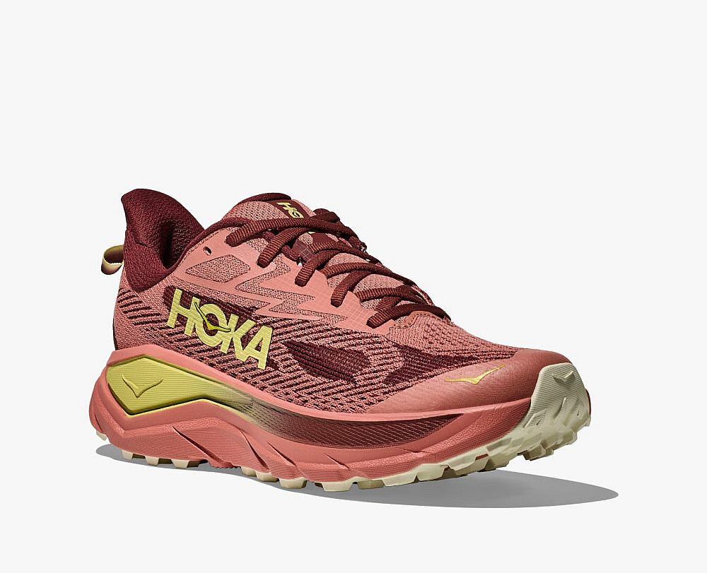 Hoka. דגם Challenger 8 WIDE | צילום: יח״צ