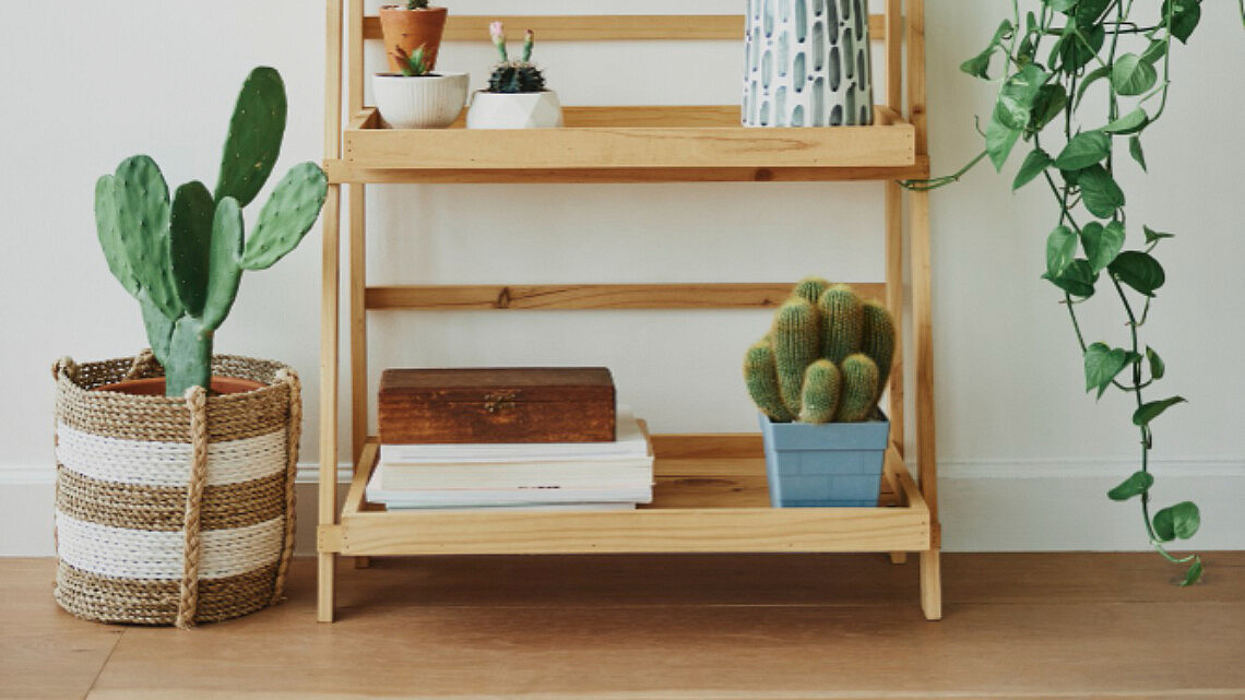 צילום: FREEPIK צילום: FREEPIK