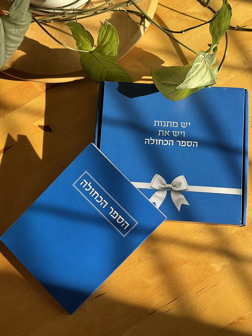 הספר הכחולה. חוברת להתפתחות אישית. 139 ש"ח | צילום: יח"צ