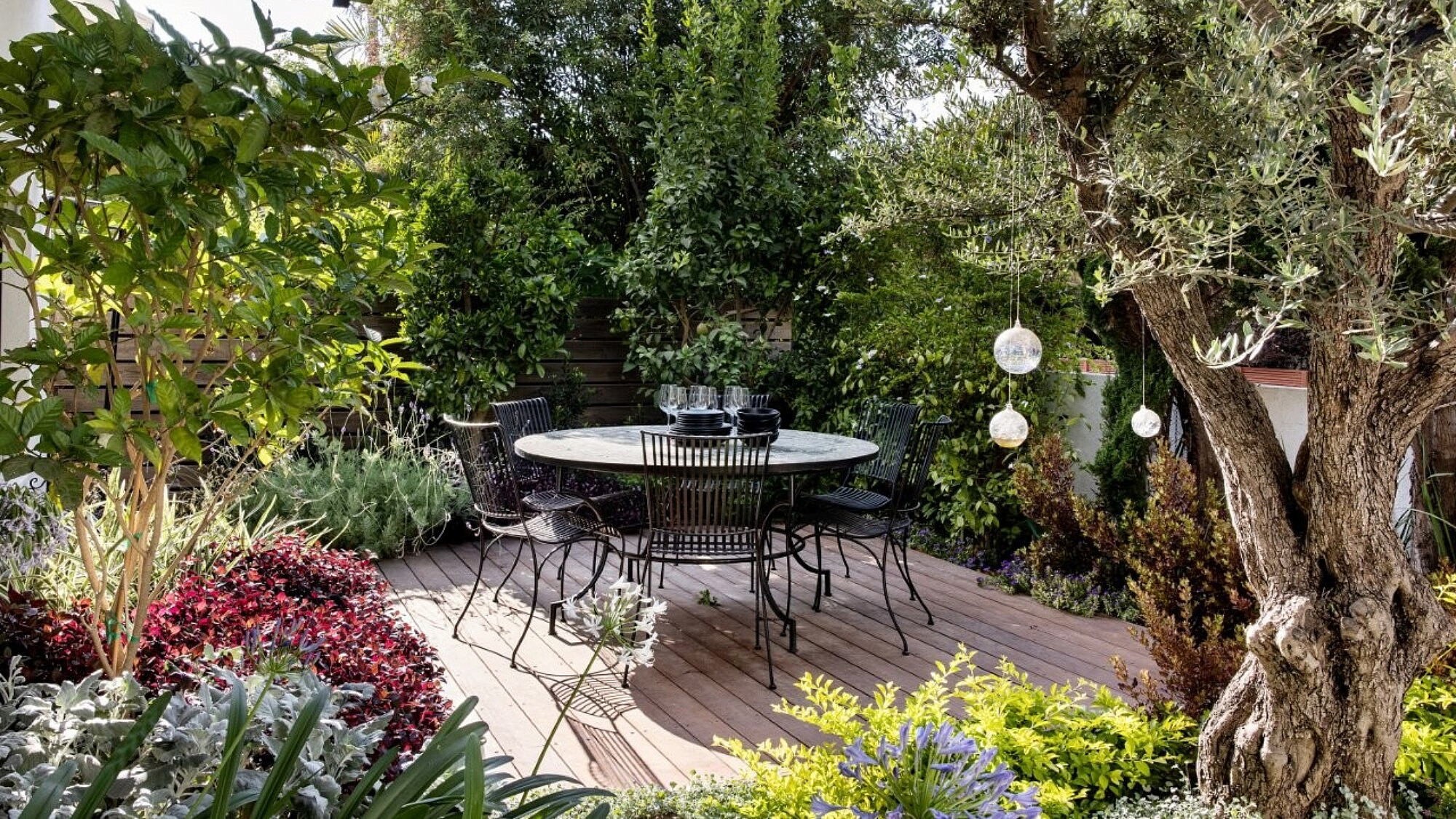 כרכום עיצוב נוף - צלם איתי בנית