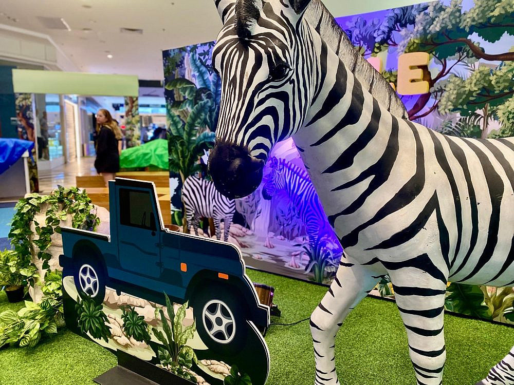 קמפינג בגו'נגל, הרצליה | צילום: מוגו הפקות