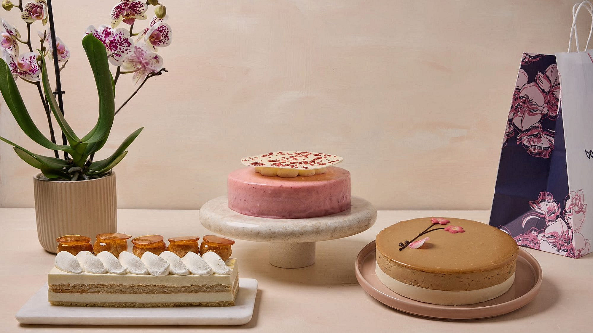 ליידי פינק. עוגות לפסח של בוטיק סנטרל | צילום: טל סיון ציפורין ליידי פינק. עוגות לפסח של בוטיק סנטרל | צילום: טל סיון ציפורין