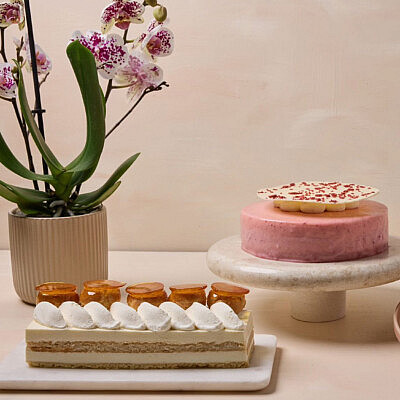 ליידי פינק. עוגות לפסח של בוטיק סנטרל | צילום: טל סיון ציפורין