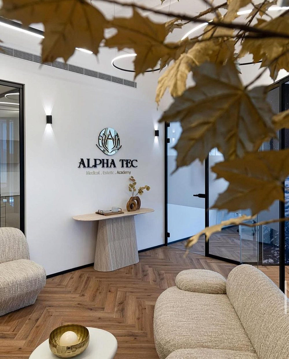 המהפכה השקטה של הבלונדיניות: כך Alpha Tec משרטטת מחדש את גבולות הלייזר ...