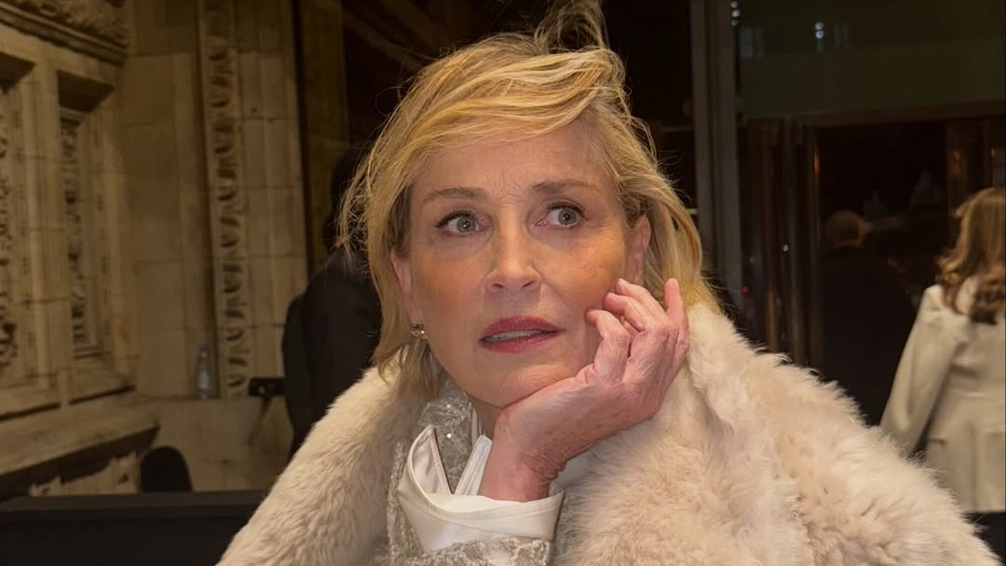 שרון סטון | צילום: אינסטגרם sharonstone@