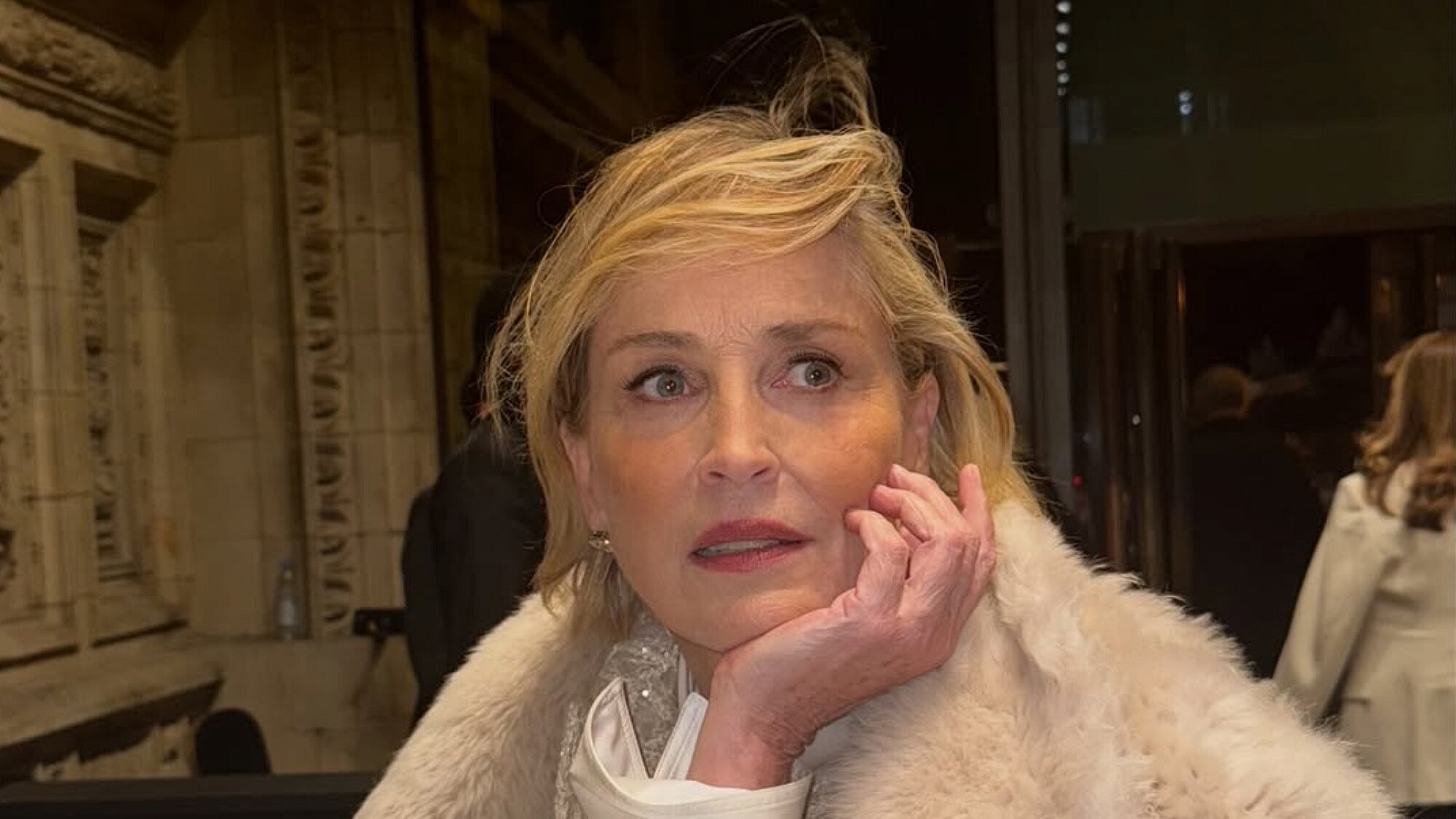 שרון סטון | צילום: אינסטגרם sharonstone@