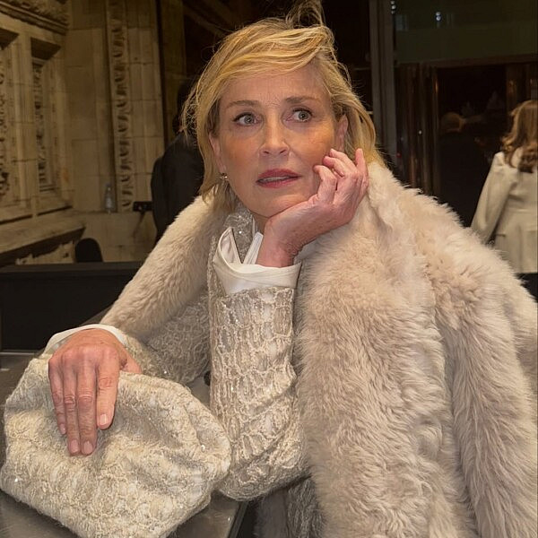 שרון סטון | צילום: אינסטגרם sharonstone@