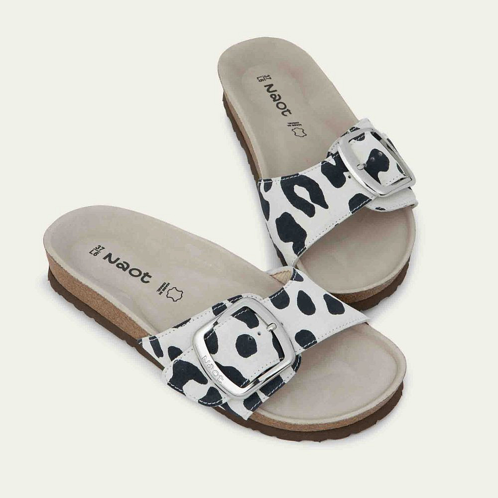 נאות. 450 ש"ח | צילום: יח"צ