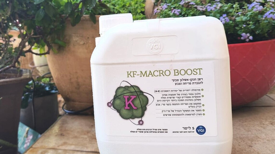 צילום: vgi.co.il