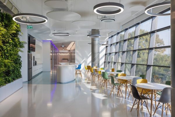 צילום: יח"צ