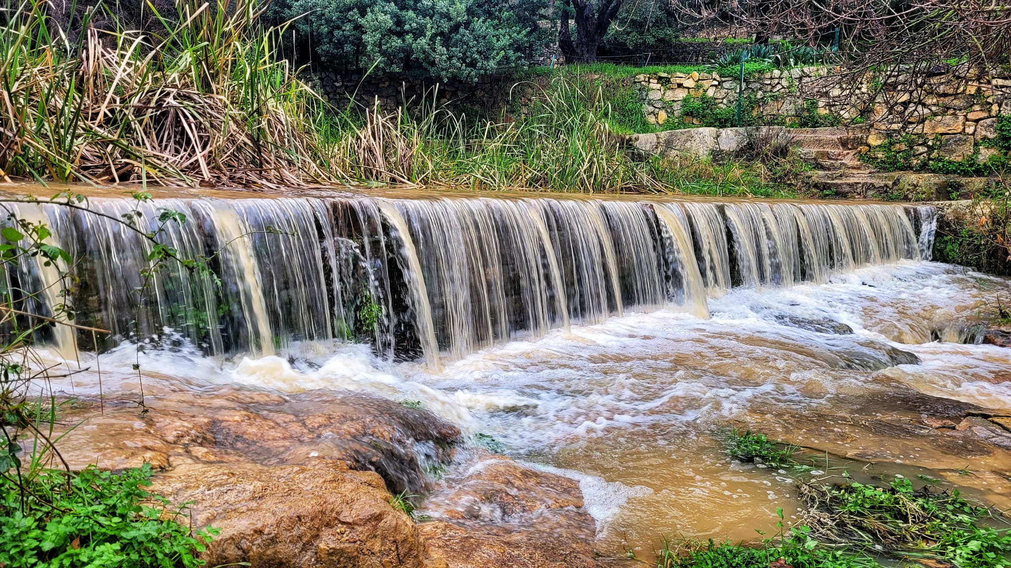 עין חמד | צילום: יניב כהן, רשות הטבע והגנים עין חמד | צילום: יניב כהן, רשות הטבע והגנים
