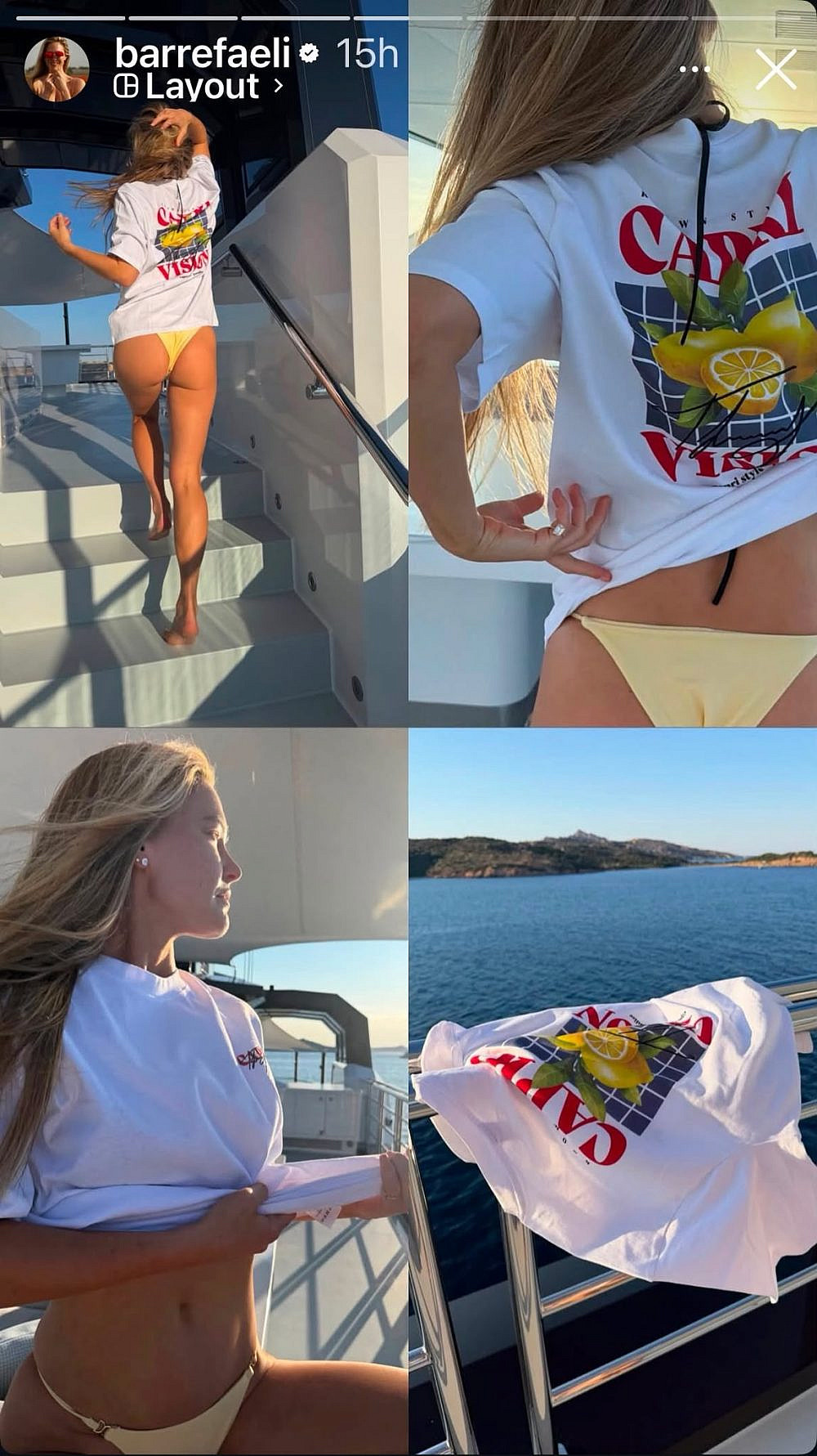 הטי של ברבור | צילום: אינסטגרם barrefaeli@