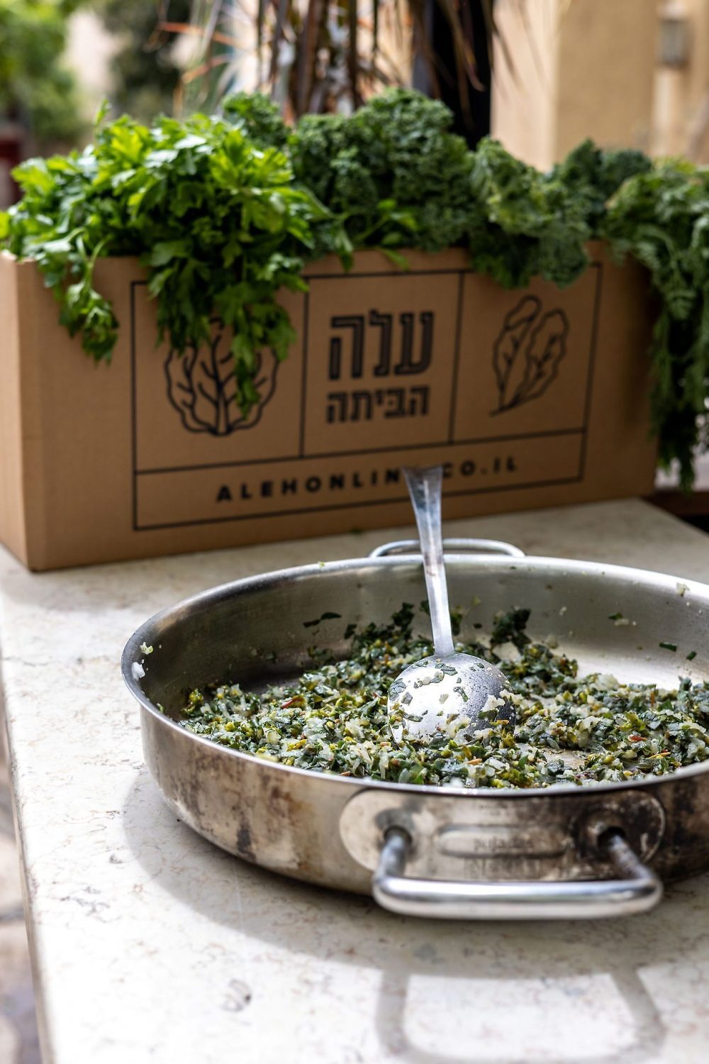 הפתעות במחבת | צילום: שני הלוי